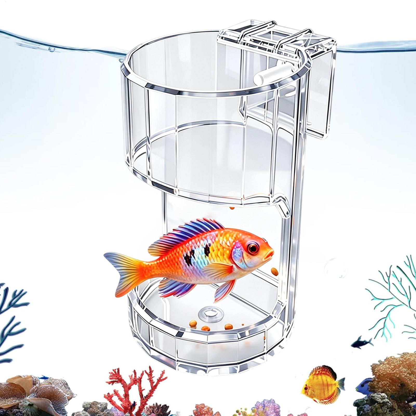 Aquarium Feeding Dish Transpar - Food Storage Room recension och pris