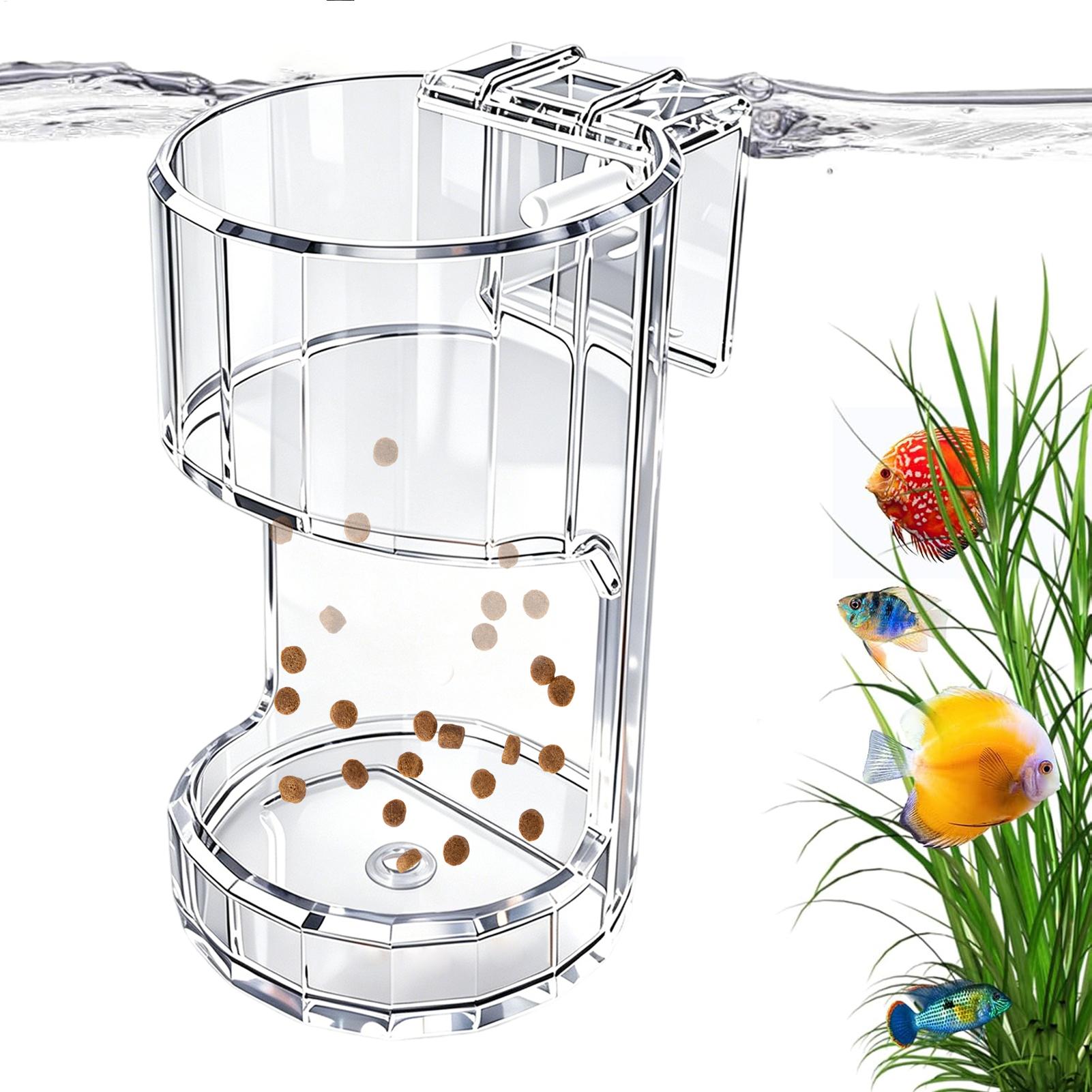 Aquarium Feeding Dish Transpar - Food Storage Room recension och pris