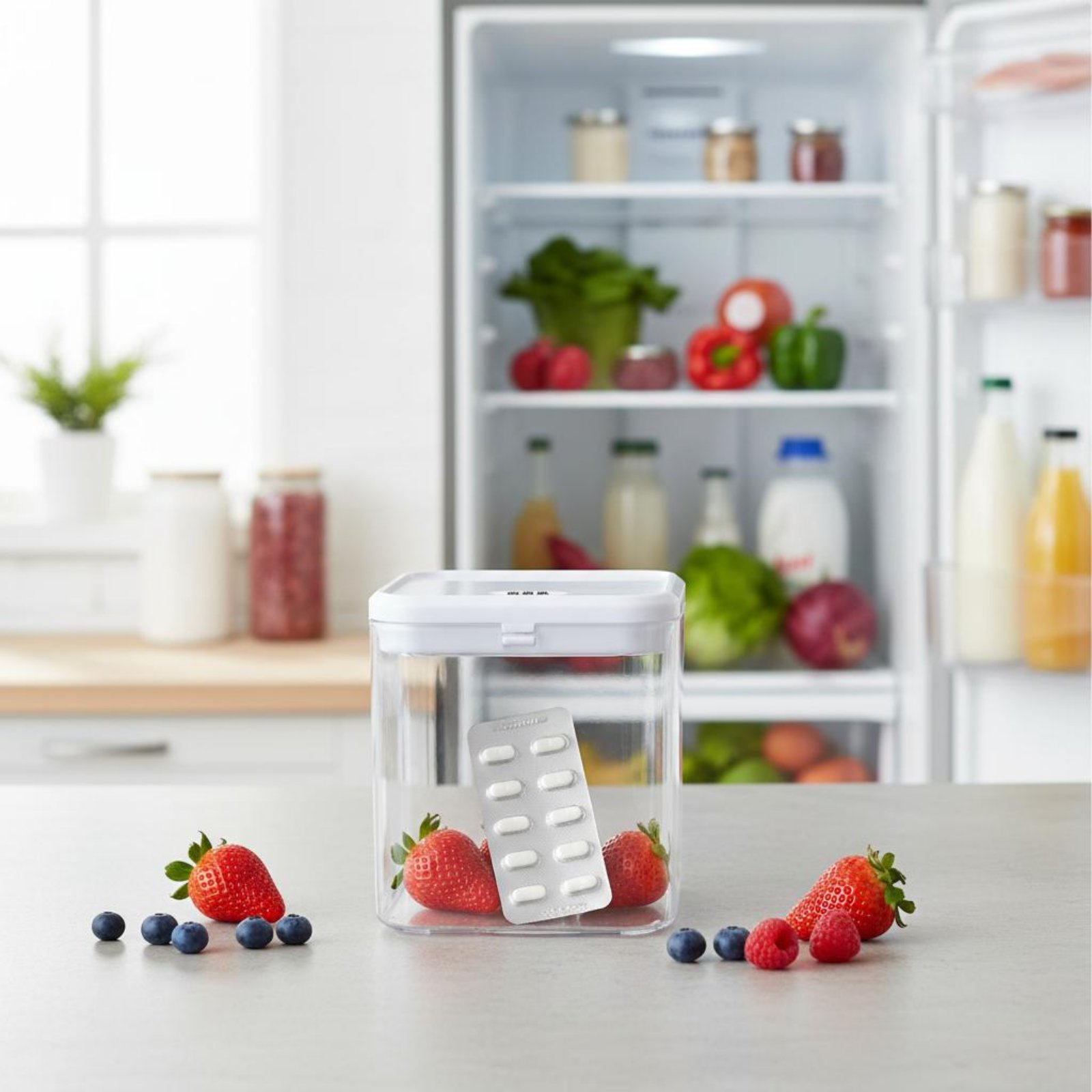 Clear Lockable Box Versatile L - Food Storage Usa recension och pris