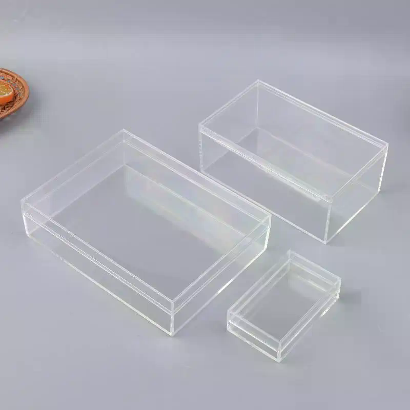 New Thickened Rectangular Acry - Food Storage Of Plants recension och pris