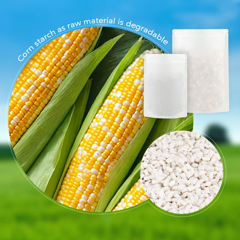 Customized Degradable Kraft Pa - Food Storage Of Plants recension och pris