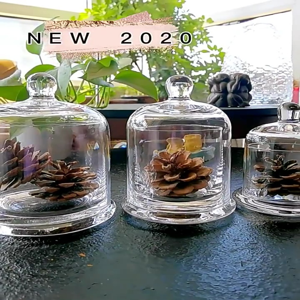 Glass Glass Storage Jar Eterna - Food Storage Of Plants recension och pris